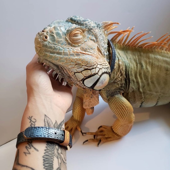 DISCOUNT CODE ‼️ Do Not Buy - Picture 6 of 7